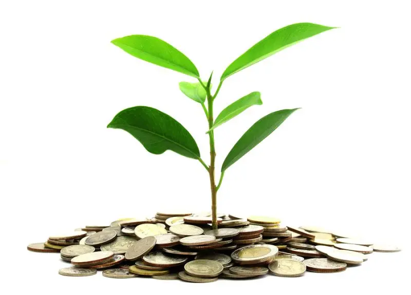 Инвестиции SKF в сохранение экологии | Свежие новости в Махачкале