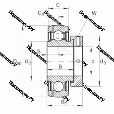 Подшипник GRAE 50-NPP-B в Махачкале